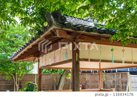 夏の半六庭園、風鈴かざり〈愛知県半田市〉 116934176