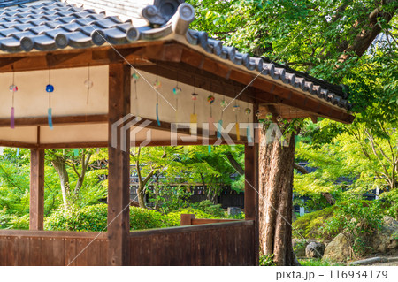 夏の半六庭園、風鈴かざり〈愛知県半田市〉 夏の半六庭園、風鈴かざり〈愛知県半田市〉 116934179