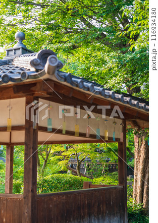 夏の半六庭園、風鈴かざり〈愛知県半田市〉 116934180