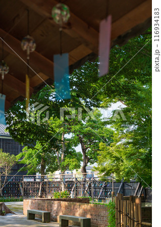 夏の半六庭園、風鈴かざり〈愛知県半田市〉 116934183