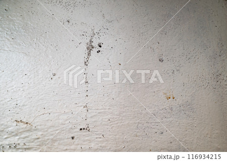 Big wet black mold and cracks a on the wall Big wet black mold and cracks a on the wall 116934215