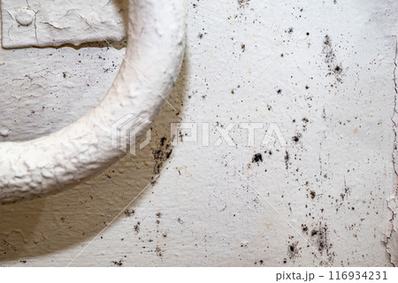 Big wet black mold and cracks a on the wall Big wet black mold and cracks a on the wall 116934231