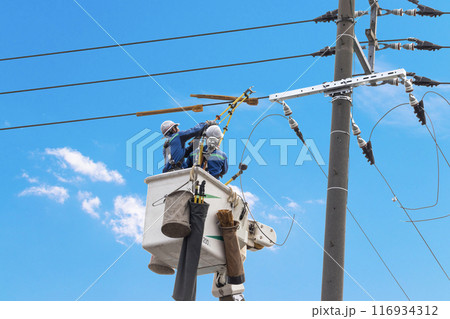 空を背景に高所作業をする人 送電設備のメンテナンス 空を背景に高所作業をする人 送電設備のメンテナンス 116934312