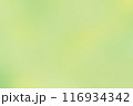 水彩のようなボカシ背景（黄色・緑色） 116934342