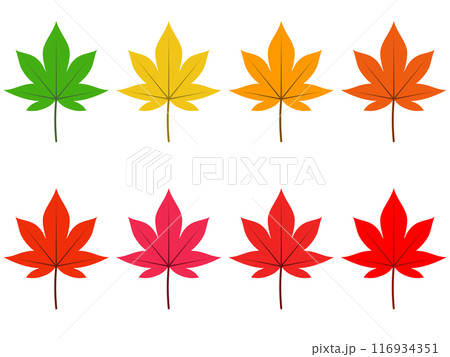 シンプルな8色の紅葉の葉 シンプルな8色の紅葉の葉 116934351