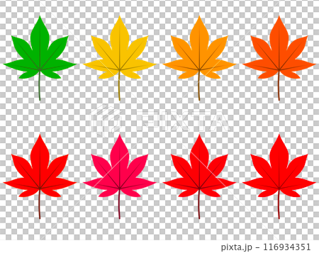 シンプルな8色の紅葉の葉 シンプルな8色の紅葉の葉 116934351