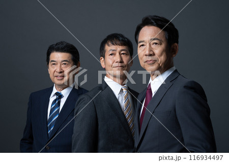 エグゼクティブなビジネスマン 116934497