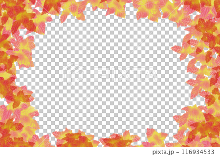Coleus Card 1 Coleus Card 1 116934533