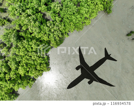 Shadow airplane flying above mangrove forest. Sustainable fuel. Biofuel in aviation. Sustainable transportation and eco-friendly flight with biofuel use. Aviation sustainability. Mangroves capture CO2 116934578