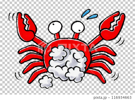 Crab blowing bubbles 116934663