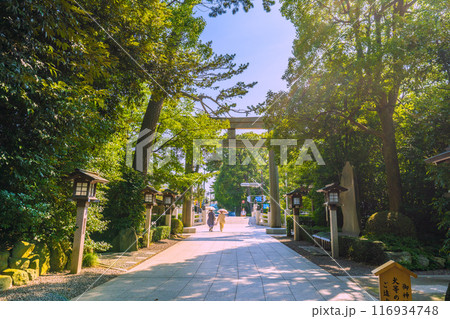 日本の寒川都市景観　相模國一之宮 寒川神社・鳥居・境内など望む＝令和6年7月21日 116934748