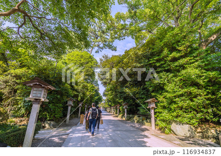 日本の寒川都市景観 相模國一之宮 寒川神社・境内など望む=令和6年7月21日 日本の寒川都市景観 相模國一之宮 寒川神社・境内など望む=令和6年7月21日 116934837