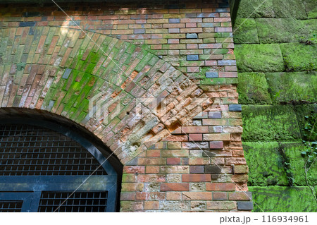 神奈川県横須賀市　猿島 116934961