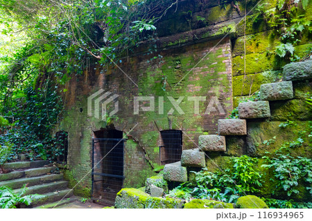 神奈川県横須賀市　猿島 116934965