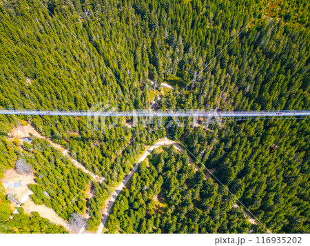 An aerial view of the 721 Sky Bridge in Czechia, showcasing the long, narrow bridge structure amidst lush green trees and winding paths. An aerial view of the 721 Sky Bridge in Czechia, showcasing the long, narrow bridge structure amidst lush green trees and winding paths. 116935202