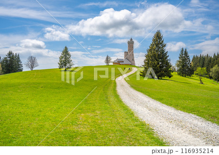 A winding gravel path leads up to the Dalimil Lookout Tower in Czechia, surrounded by lush green fields and towering trees. The sky is a bright blue with fluffy white clouds. A winding gravel path leads up to the Dalimil Lookout Tower in Czechia, surrounded by lush green fields and towering trees. The sky is a bright blue with fluffy white clouds. 116935214