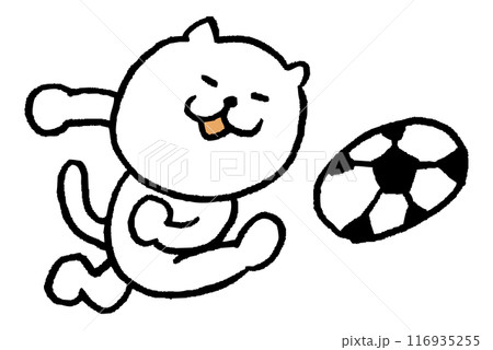 色々なスポーツをする目が細いかわいい白猫キャラ 116935255