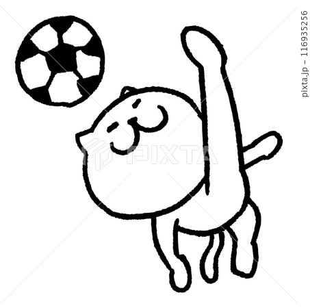 色々なスポーツをする目が細いかわいい白猫キャラ 色々なスポーツをする目が細いかわいい白猫キャラ 116935256