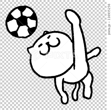 色々なスポーツをする目が細いかわいい白猫キャラ 色々なスポーツをする目が細いかわいい白猫キャラ 116935256