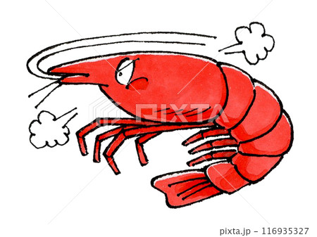 怒るエビ 怒るエビ 116935327