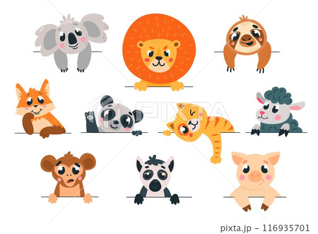 Animal looking out. Different emotional animals peeking and peeping. Childish stickers with funny pets. Cartoon sloth panda fox koala, classy vector set 116935701