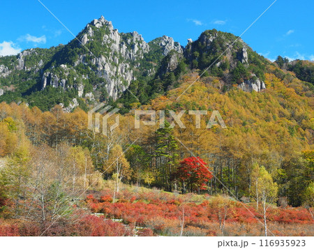 みずがき山自然公園から望む秋のみずがき山 みずがき山自然公園から望む秋のみずがき山 116935923