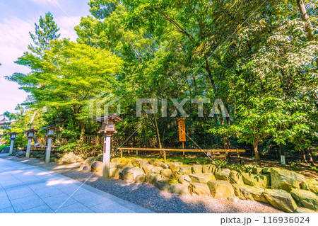 日本の寒川都市景観　相模國一之宮 寒川神社。天皇皇后両陛下幣饌料御下賜記念植樹＝令和6年7月21日 116936024