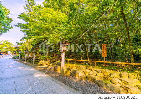 日本の寒川都市景観　相模國一之宮 寒川神社。天皇皇后両陛下幣饌料御下賜記念植樹＝令和6年7月21日 116936025