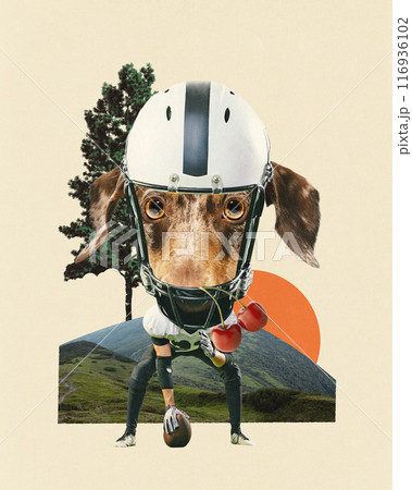Contemporary art collage. Dog-headed football player wearing helmet, holding football with cherries hanging from its mouth against mountains. Contemporary art collage. Dog-headed football player wearing helmet, holding football with cherries hanging from its mouth against mountains. 116936102