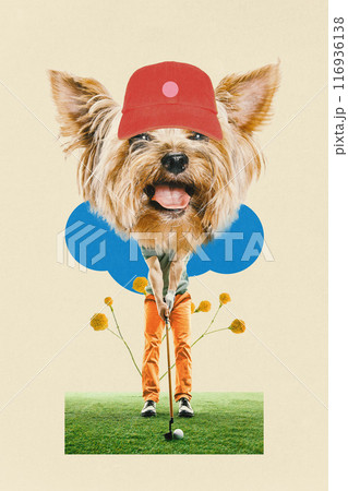 Contemporary art collage. Dog-headed golf player stands ready to hit ball against abstract beige background as green field. Contemporary art collage. Dog-headed golf player stands ready to hit ball against abstract beige background as green field. 116936138