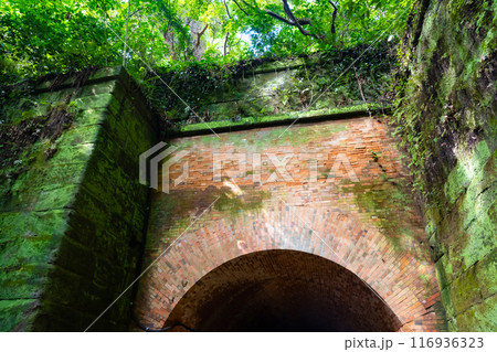 神奈川県横須賀市　猿島 116936323