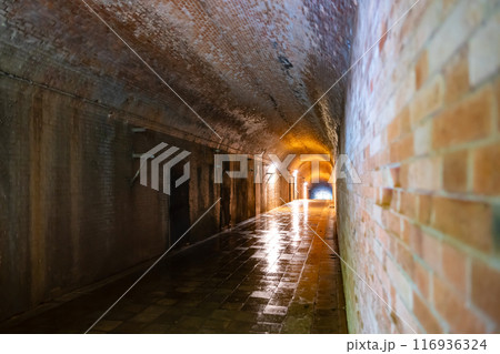 神奈川県横須賀市　猿島 116936324