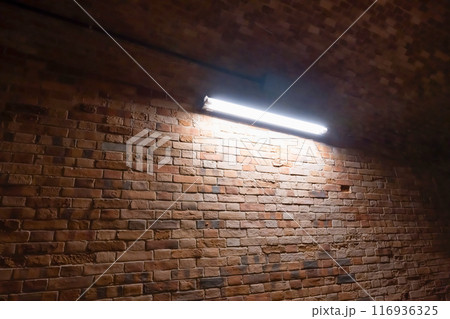 神奈川県横須賀市 猿島 神奈川県横須賀市 猿島 116936325