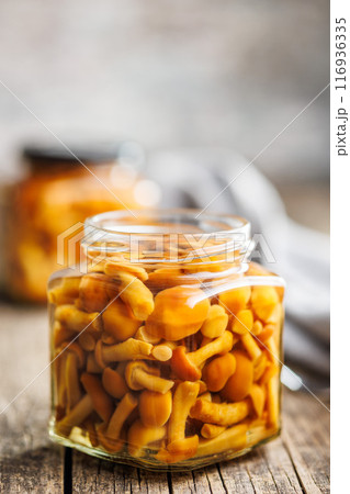 Pickled nameko mushrooms.Traditional japanese mushrooms in jar on wooden table. Pickled nameko mushrooms.Traditional japanese mushrooms in jar on wooden table. 116936335