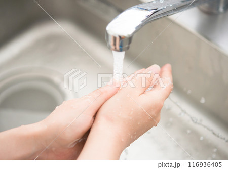 手を洗う 116936405