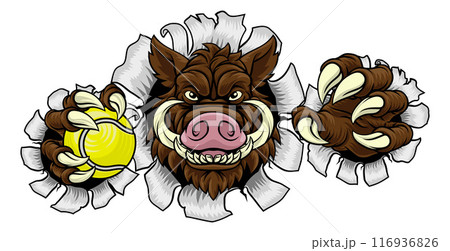 Boar Wild Hog Razorback Warthog Pig Tennis Mascot 116936826