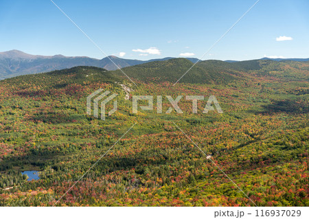 Views overlooking White Mountain National Forest during the beginning of Fall. 116937029