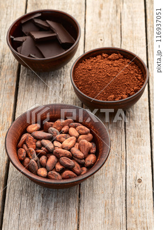 Cocoa beans grain in bowl . Ingredient for preparating chocolate 116937051
