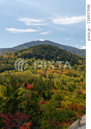 Views overlooking White Mountain National Forest during the beginning of Fall. Views overlooking White Mountain National Forest during the beginning of Fall. 116937096