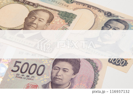 お金(新紙幣)とコピースペース お金(新紙幣)とコピースペース 116937132
