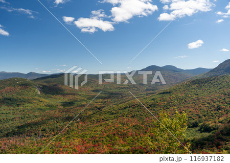 Views overlooking White Mountain National Forest during the beginning of Fall. 116937182