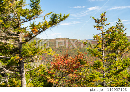 Views overlooking White Mountain National Forest during the beginning of Fall. 116937198
