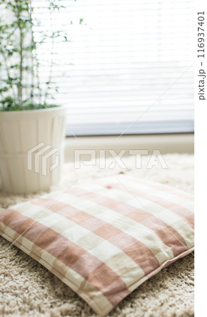 観葉植物の置かれた部屋 116937401