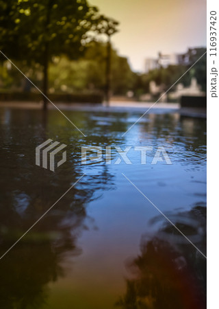 Image photo 116937420