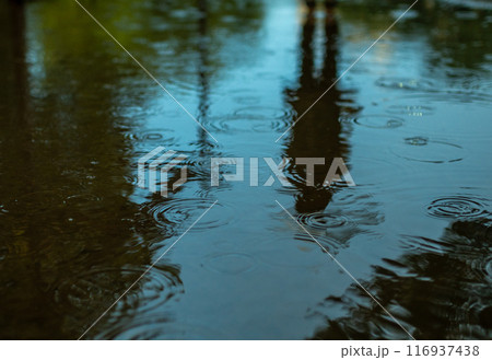 水たまり 116937438