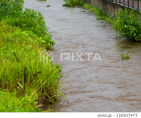増水した河川 増水した河川 116937473