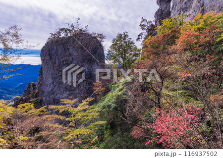 【群馬県】紅葉期の妙義山 石門めぐり 第二石門付近 【群馬県】紅葉期の妙義山 石門めぐり 第二石門付近 116937502