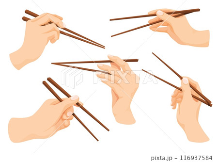 Hand hold chopsticks. Hands holding chopstick for eat asian seafood, japanese chop stick japan chinese sushi food eating tool in arm, oriental cartoon neat vector illustration 116937584