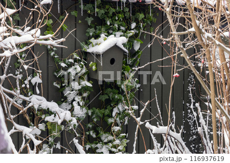 Birdhouse covered with snow in the garden in winter. Birdhouse covered with snow in the garden in winter. 116937619