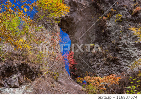 【群馬県】紅葉期の妙義山・石門めぐり　第二石門・カニの横ばい 116937674